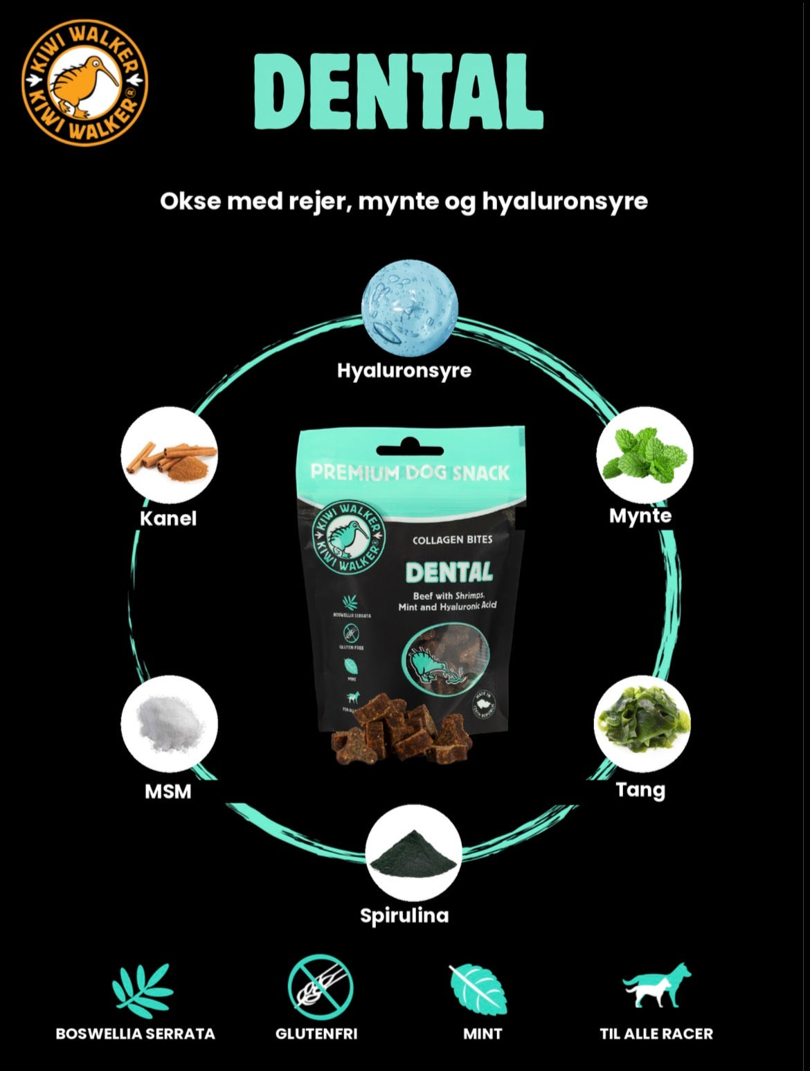 Dental - Collagen Bites (Oksekød med Rejer, Mynte og Hyaluronsyre) - KIWI WALKER