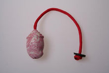 Mango tango 10 cm