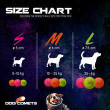 Dog Comet STARDUST bold Medium