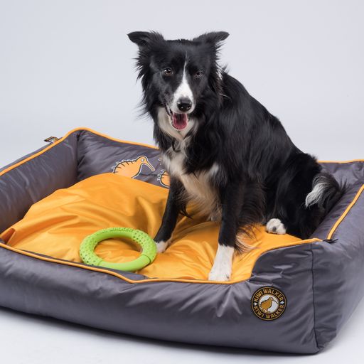 Kiwi Walker Sofa hundeseng - BLÅ