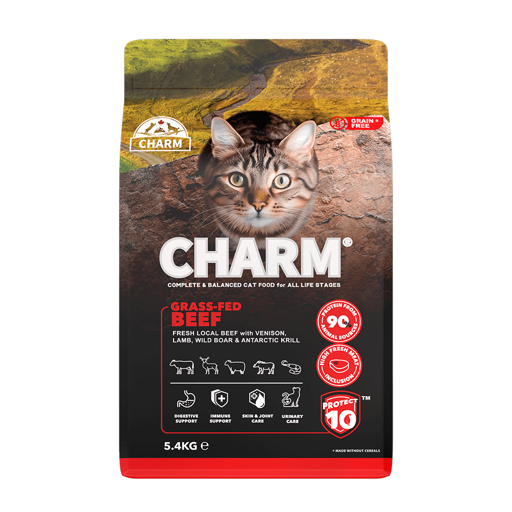 CHARM - Grass-Fed Beef – Hornfrit kattefoder med frisk oksekød