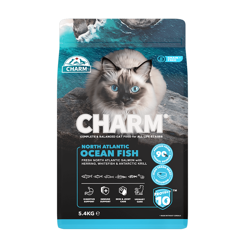 CHARM - North Atlantic Ocean Fish – Kornfrit kattefoder med nordatlantisk laks