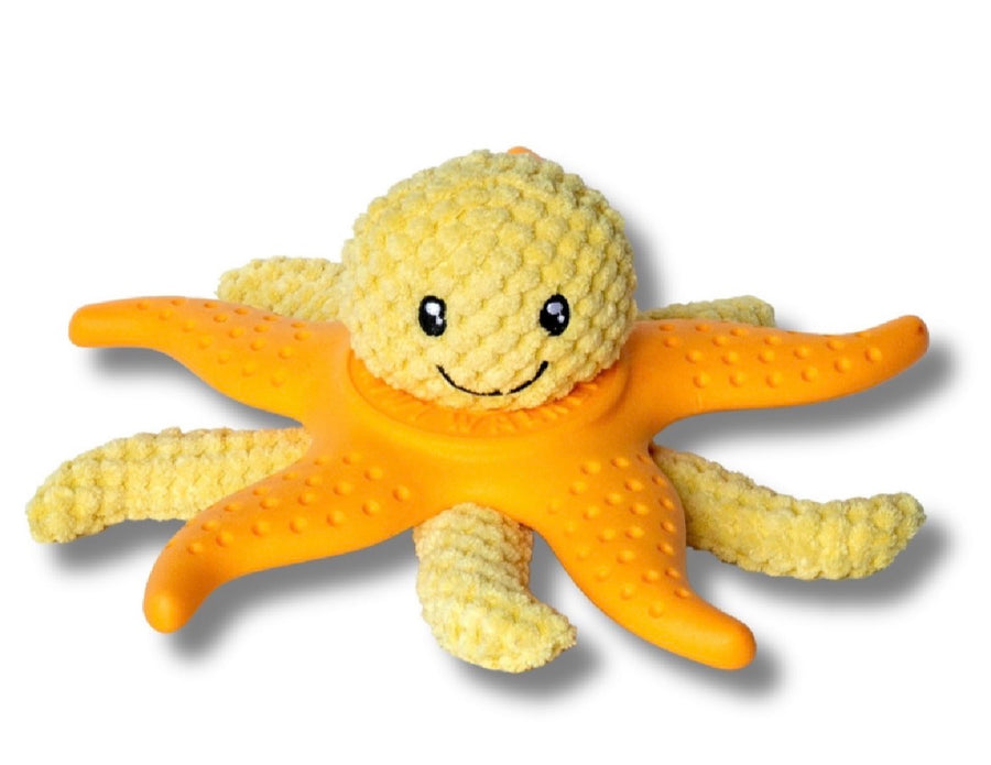 Let’s play Octopus & Starfish