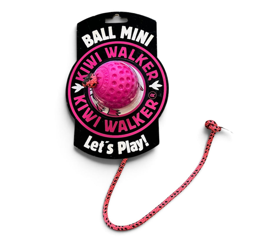 Let's play BALL m/snor - MINI