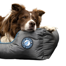 Kiwi Walker Sofa hundeseng - ORANGE