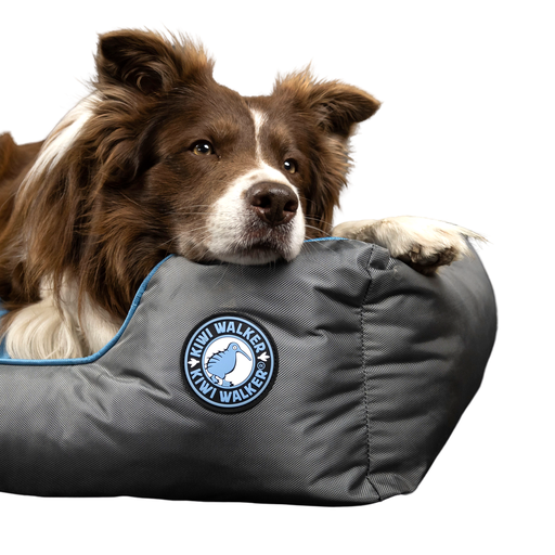 Kiwi Walker Sofa hundeseng - GRØN