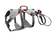Doubleback Full Body Dog Harness - Ruffwear