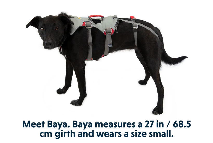 Doubleback Full Body Dog Harness - Ruffwear