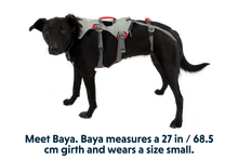 Doubleback Full Body Dog Harness - Ruffwear
