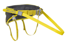Omnijore Dog Joring System - Ruffwear