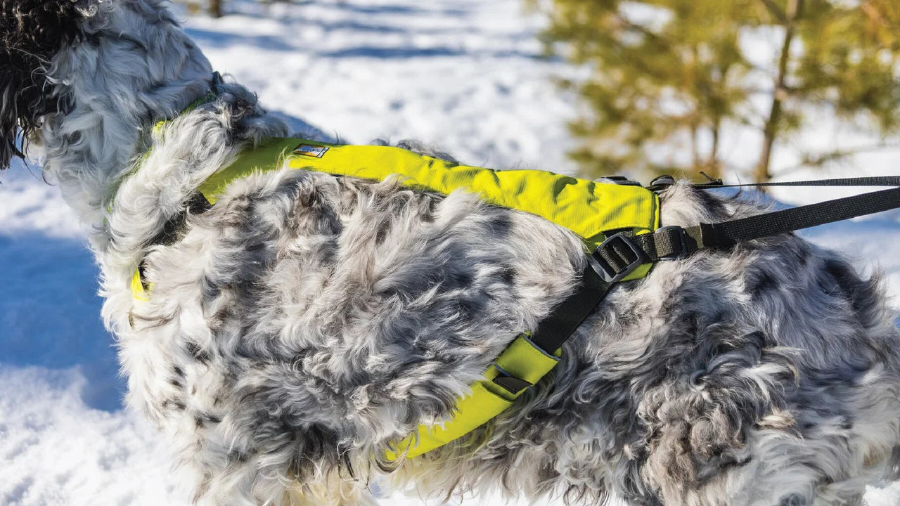 Omnijore Dog Joring System - Ruffwear