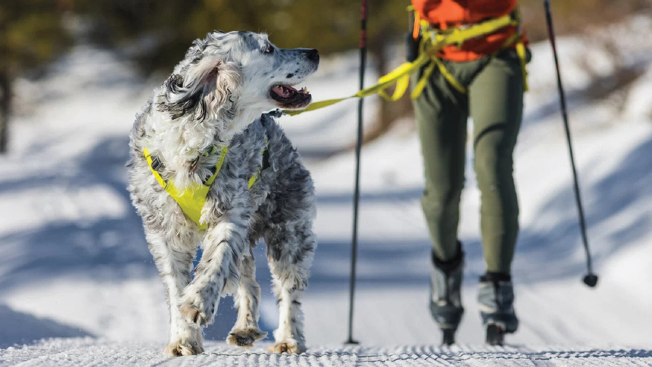 Omnijore Dog Joring System - Ruffwear