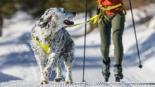Omnijore Dog Joring System - Ruffwear