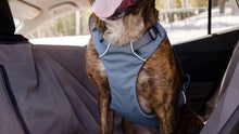 Load Up Dog Car Harness - Ruffwear Slate Blue