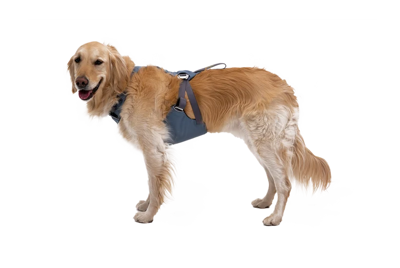 Load Up Dog Car Harness - Ruffwear Slate Blue
