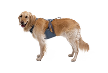 Load Up Dog Car Harness - Ruffwear Slate Blue