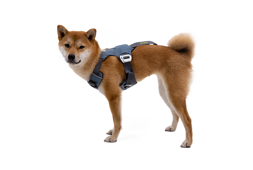 Load Up Dog Car Harness - Ruffwear Slate Blue