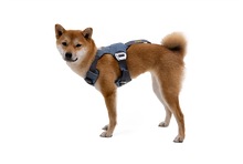 Load Up Dog Car Harness - Ruffwear Slate Blue