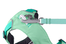 Hi & Light hundesele - Ruffwear Sage Green