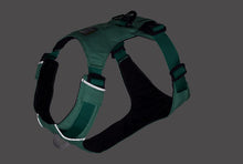 Hi & Light hundesele - Ruffwear Sage Green