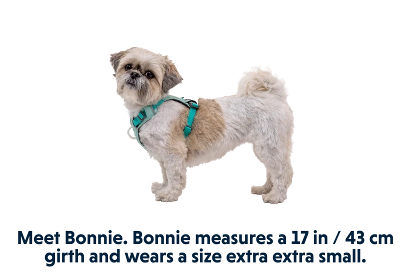 Hi & Light hundesele - Ruffwear Sage Green