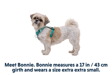 Hi & Light hundesele - Ruffwear Sage Green