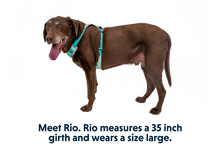 Hi & Light hundesele - Ruffwear Sage Green