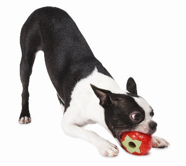 Orbee Tuff Strawberry