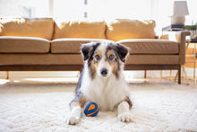 Ultra Squeaker Ball med PIV - Chuck It!