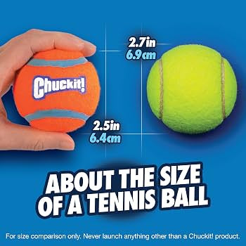 Tennis bolde 4 pak medium - Chuck It!