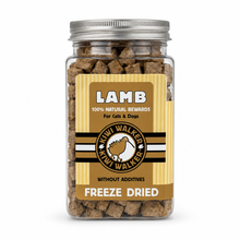 Freeze Dried Snacks - Kiwi Walker
