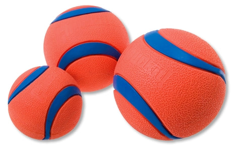 Ultra Ball - L -XL - XXL ChuckIt!