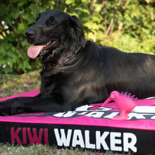 Hundemadras - KIWI WALKER - GRØN