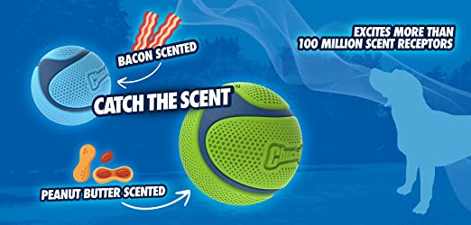 Sniff Fetch Ball, Peanut Butter - Chuck It!