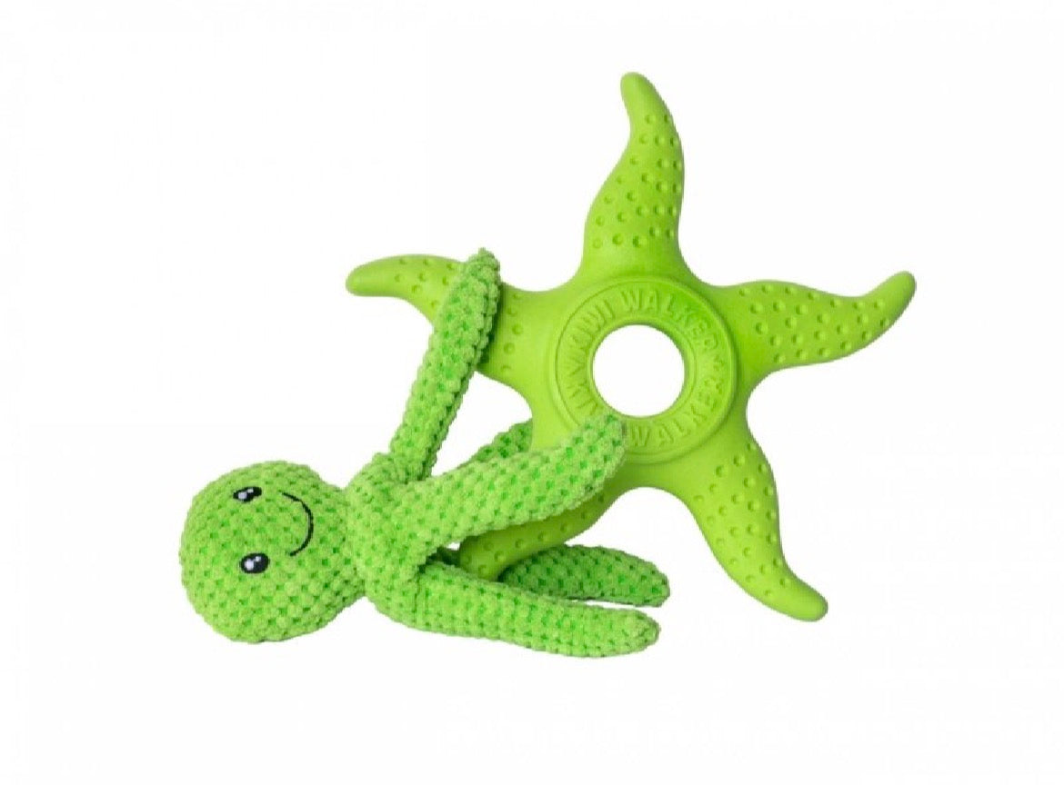 Let’s play Octopus & Starfish