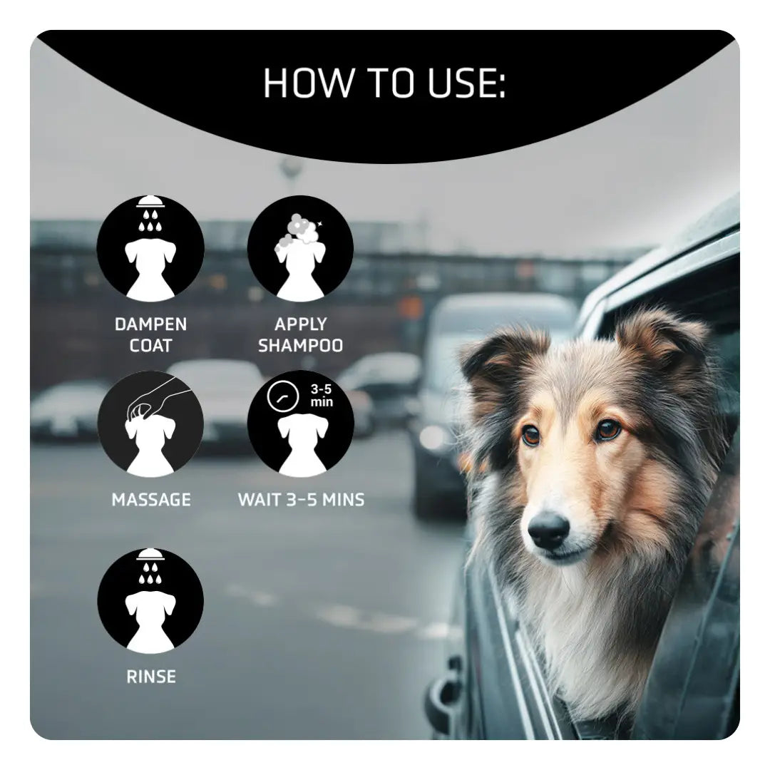 Artero Detox Dybderensende Hundeshampoo med Aktivt Kul – 300 ml