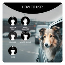 Artero Detox Dybderensende Hundeshampoo med Aktivt Kul – 300 ml