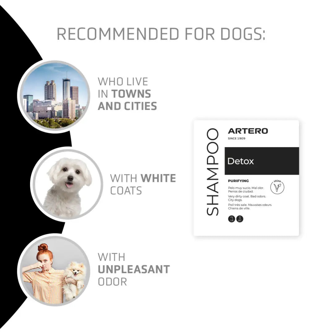 Artero Detox Dybderensende Hundeshampoo med Aktivt Kul – 300 ml