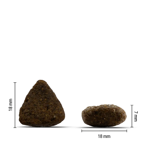 Chicopee Holistic Nature Line - Active, Salmon & Potato 12 kg
