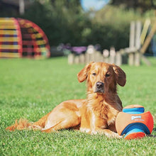 Kick Fetch - Chuck it!