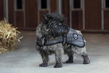 Cooler dækken til hund Antracit 55 cm