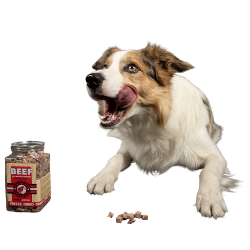 Snack Lamb - 90g