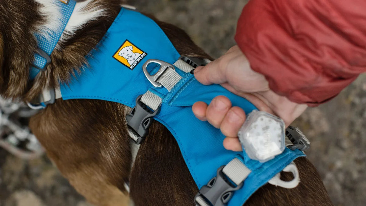Flagline Hundesele med håndtag - Ruffwear Basalt Gray