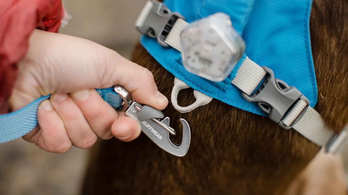 Flagline hundeline - Ruffwear Alpenglow Pink