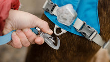 Flagline hundeline - Ruffwear Alpenglow Pink