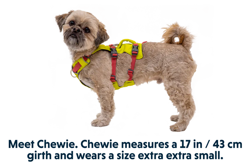 Flagline Hundesele med håndtag - Ruffwear Lichen Green