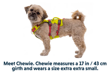 Flagline Hundesele med håndtag - Ruffwear Lichen Green