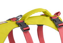 Flagline Hundesele med håndtag - Ruffwear Lichen Green
