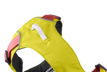 Flagline Hundesele med håndtag - Ruffwear Lichen Green