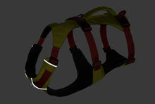 Flagline Hundesele med håndtag - Ruffwear Alpenglow Pink